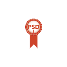 PSD - Professional Scrum Developer I